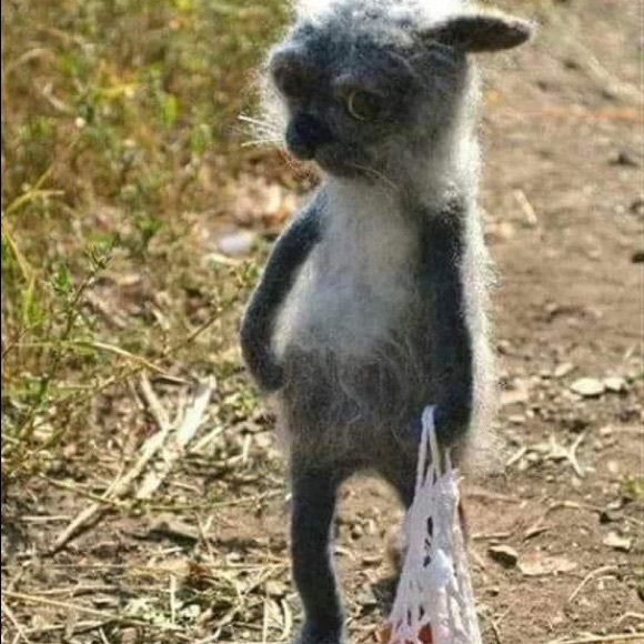 Meet your Posher, Mary - Picture 1 of 1